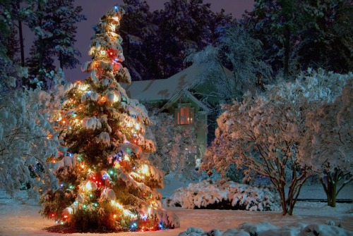 С Новым годом и Рождеством!